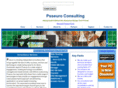 pro-activesystems.com