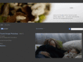wdm36.com