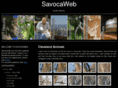 savocaweb.com