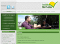 scheinfordavenport.com