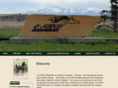 gforcearabians.com