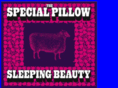 specialpillow.com