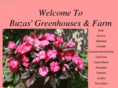 buzasgreenhouseandfarm.com