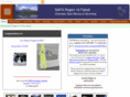 region19flyball.com