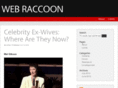 webraccoon.com