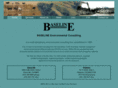 baseline-env.com