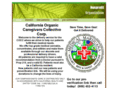 cogcmedical.com