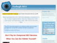 failsafeseo.com