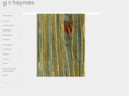 gchaymes.com