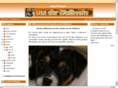 jack-russell-von-der-wallhecke.de