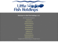 littlefishholdings.com