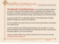 nasrudinconsulting.com