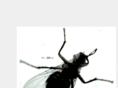 oddvance.com