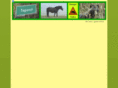 toporzyk.com