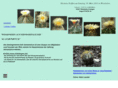 ag-astrophytum.de