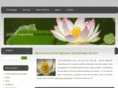 pastliferegressionhypnotherapy.com