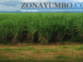 zonayumbo.com