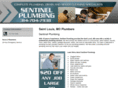 plumbersstlmo.com