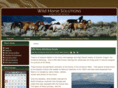 wildhorsesolutions.org