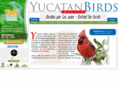 yucatanbirds.org.mx