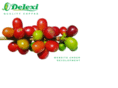 delexi.com