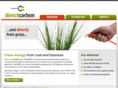 directcarbon.com