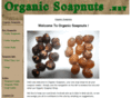 organicsoapnuts.net