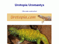 urotopia.com