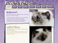 bindurabirman.com