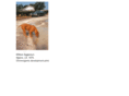dogpuddle.com