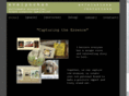 evsolutionsnow.com