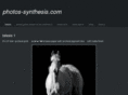 photos-synthesis.com