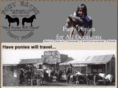 ponyhavenpartyponies.com