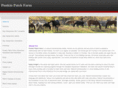 punkinpatchfarm.com