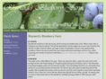 rhynardsblueberryfarm.com