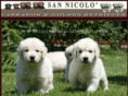 sannicolo-labrador.com