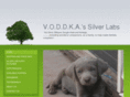 voddkasilverlabs.com