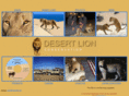 desertlion.info