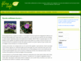 floracafe.org