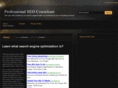 professional-seo-consultant.com