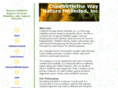 yourbirth.com