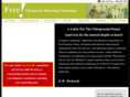 freechiropracticmarketing.info