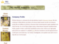 rg-northamerica.com