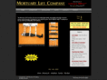 bariatriclift.com
