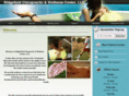 ridgefieldchiropractic.com