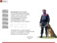 roigseguridad.com