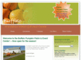 buffalopumpkinpatch.com