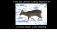 chinesewaterdeerstalking.com