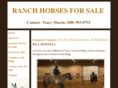 ranchhorsenow.com