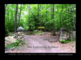 luderowskiarchitect.com